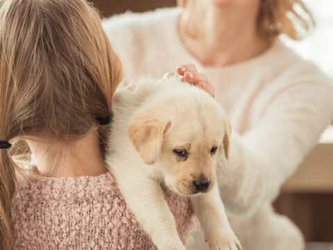 Ein Haustier ist ein Familienmitglied und hat es verdient, dass man ihm verantwortungsbewusst und rücksichtsvoll begegnet (Foto: LightFieldStudios/iStockphoto.com