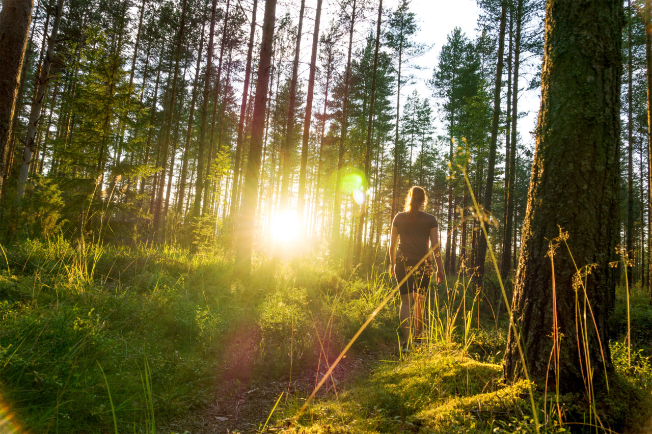 Der Wald soll über einen längeren Zeitraum bewusst achtsam wahrgenommen werden – ohne Ziel oder Erbringung einer Leistung (Foto: Tero Vesalainen/iStockphoto.com)