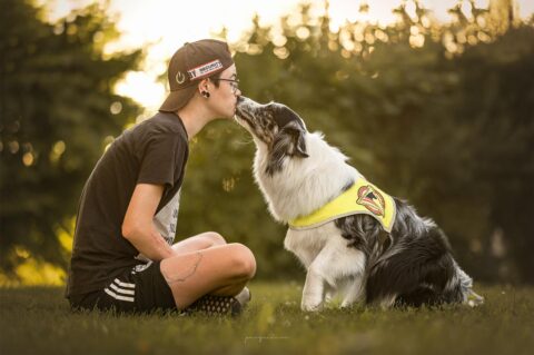 Signalhund Motte ist ein 5-jähriges Australian Shepherd Hundemädchen und begleitet Toni (Foto: privat)